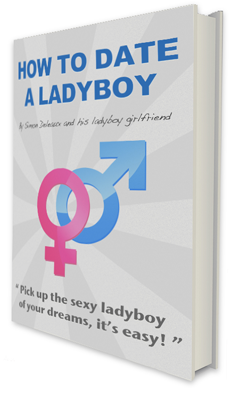 How To Date A Ladyboy Book Review
