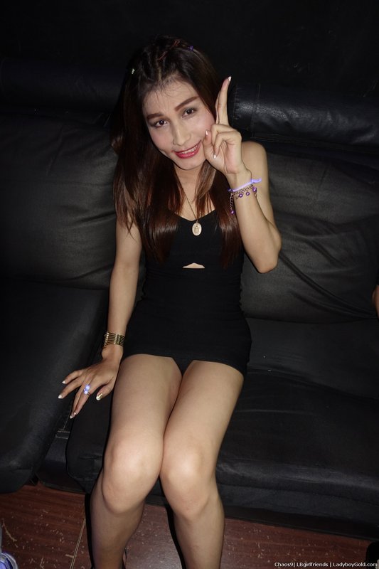 Chaos 9 Ladyboy Bar Thank you Ladyboy Gold