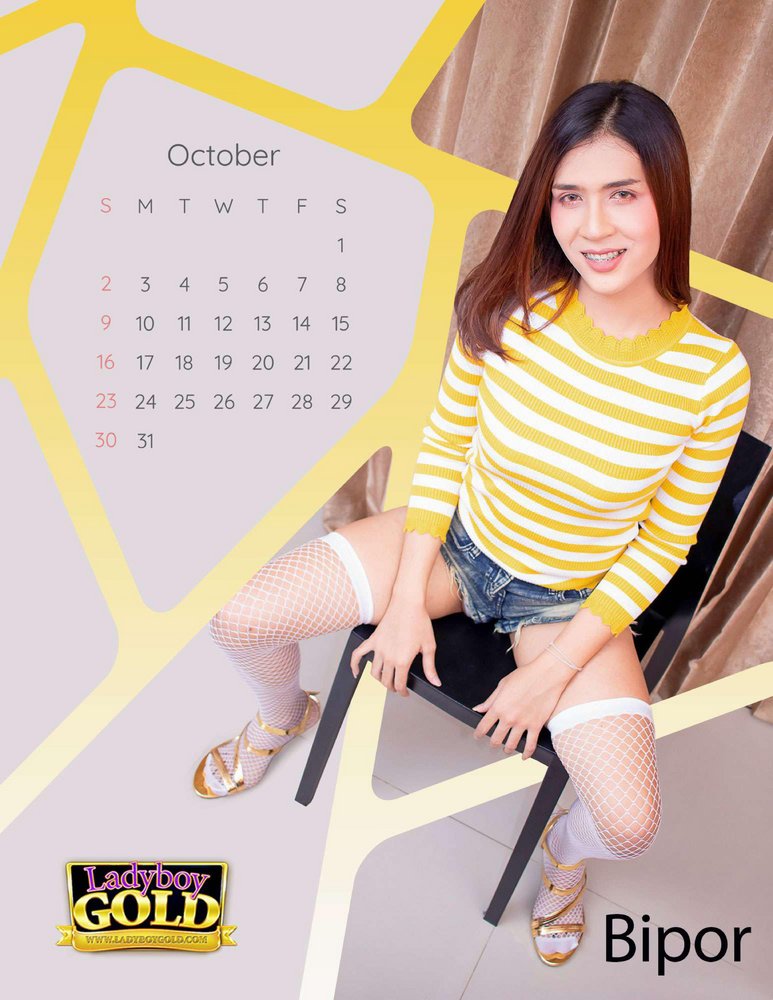 Ladyboy Gold Calendar 2022